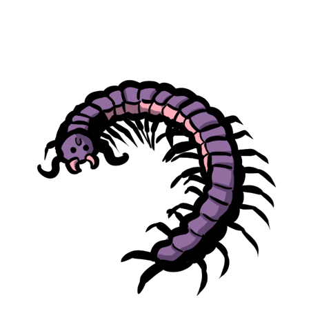 Centipede by David Wilson