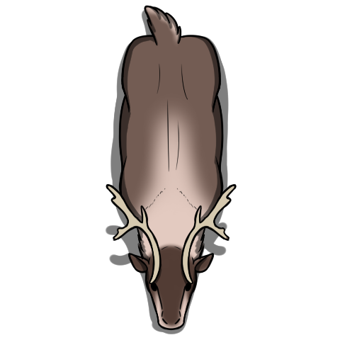 Reindeer by Hammertheshark